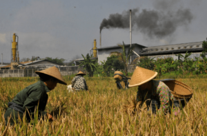 Membangun Pabrik dengan Minimisasi Dampak Lingkungan